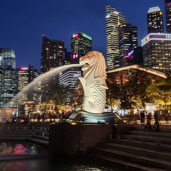 Singapore student Visa Agency 💸❤️ WhatsApp group icon