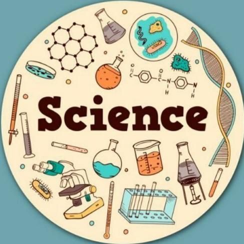 ✨Science Exploration Forum WhatsApp group icon