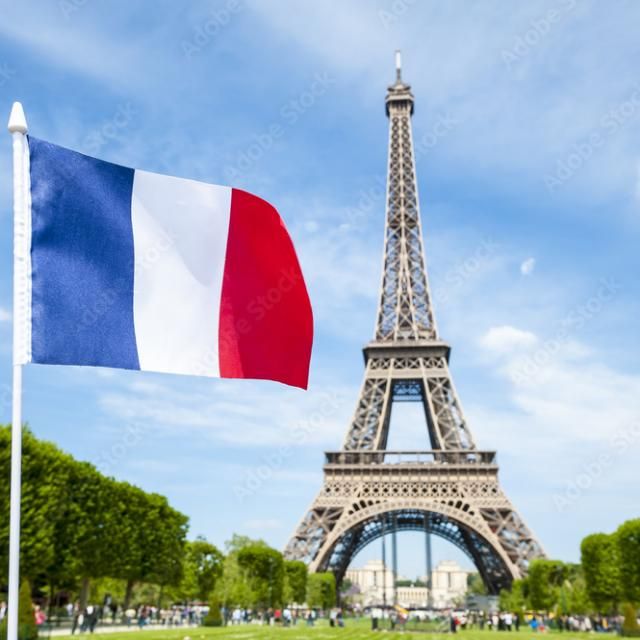 Learning French WhatsApp group icon