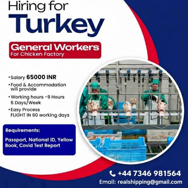 Aura Eatery Istanbul, Hiring internationally from Turkey WhatsApp group icon