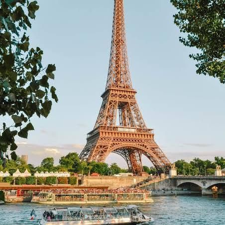 Let's learn French WhatsApp group icon