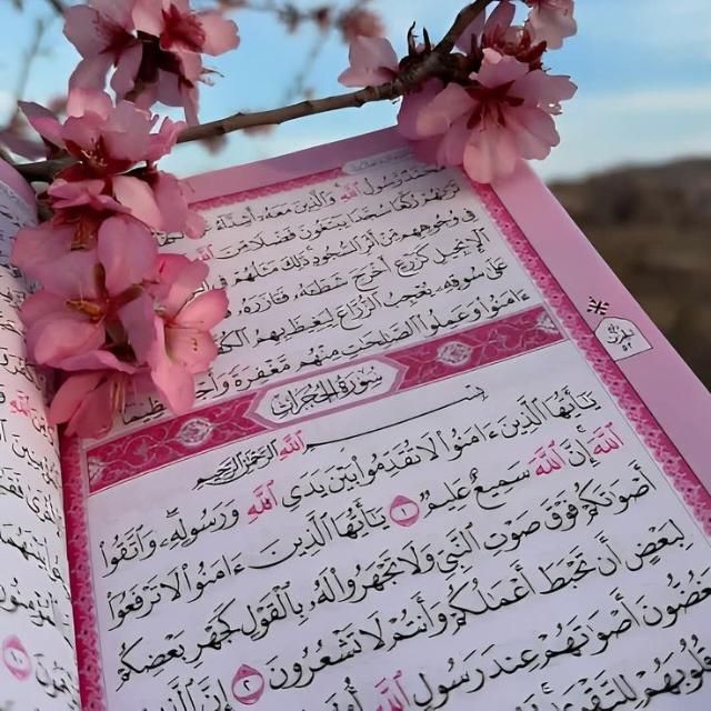 (পয়গামে মুস্তফা সঃ) پیغامِ مصطفیٰ ﷺ WhatsApp group icon