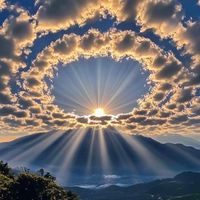 MORNING STAR🌟🌟 WhatsApp group icon